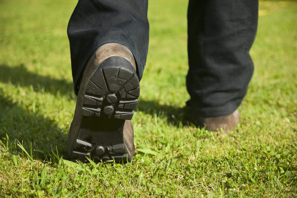 Summer Lawn Care Tips and Tricks for South Carolina Lawns