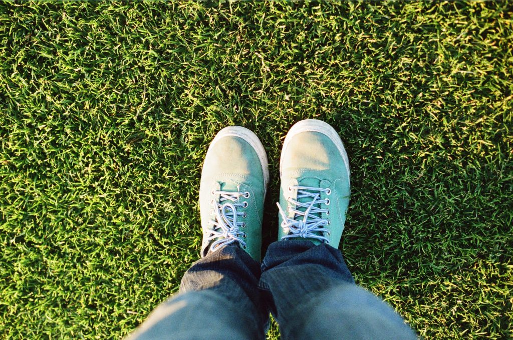 Types of Grass in Charleston, SC