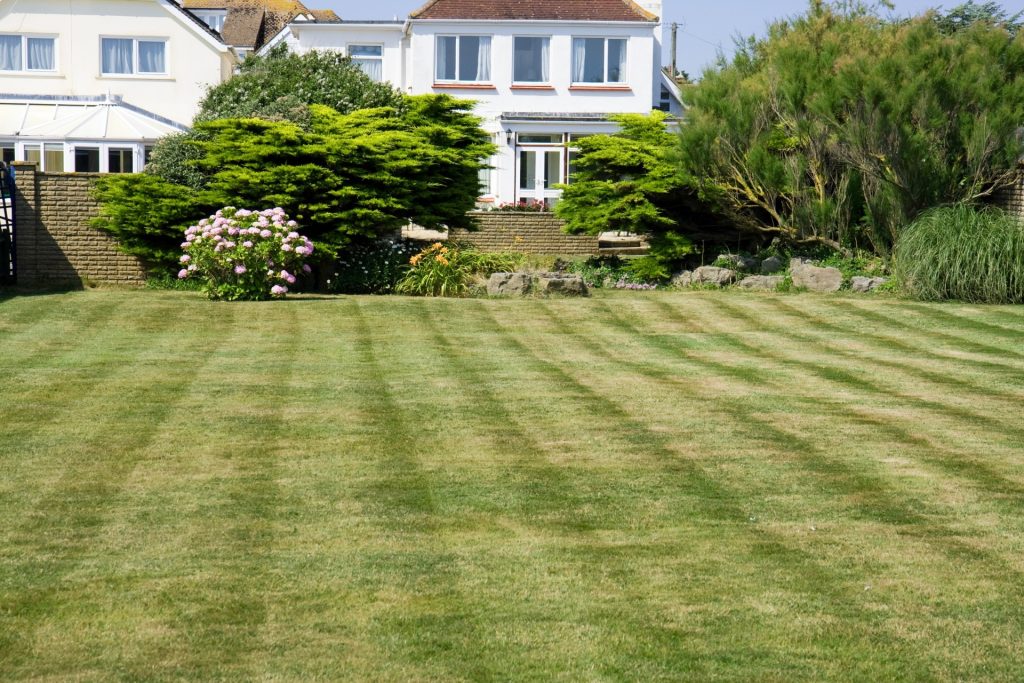 How To Care For Your Turf In Summerville, SC