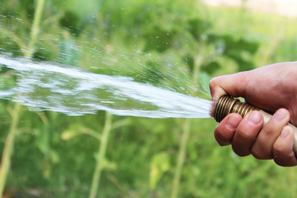 Guide To Watering Your Grass In Summerville, SC