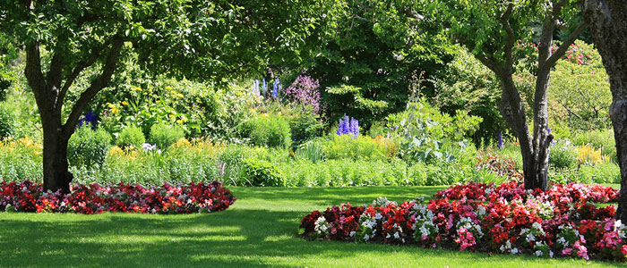 Ornamental Plants that Thrive in Charleston, SC
